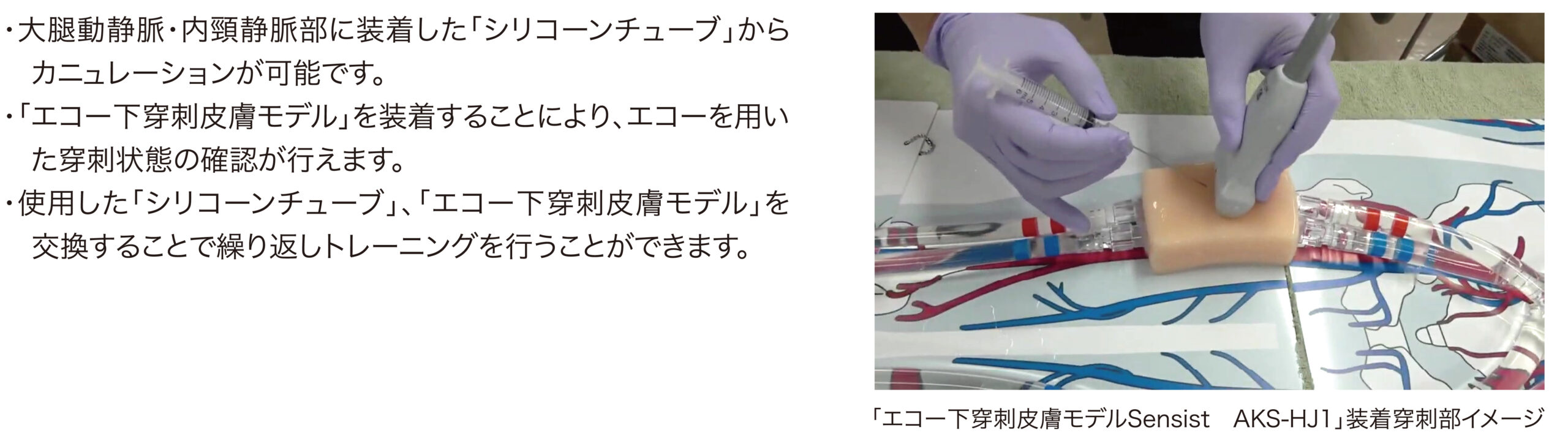 補助循環シミュレーター - MERA 泉工医科工業株式会社 ―医療と共に歩む、信頼のメラ製品―